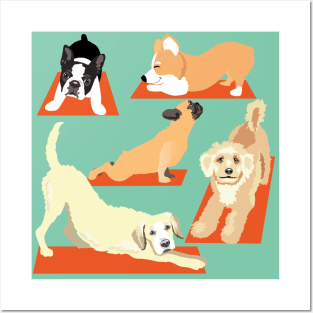 Cute Yoga Dogs Posters and Art